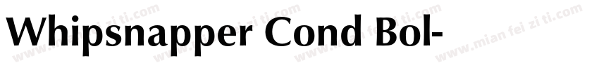 Whipsnapper Cond Bol字体转换